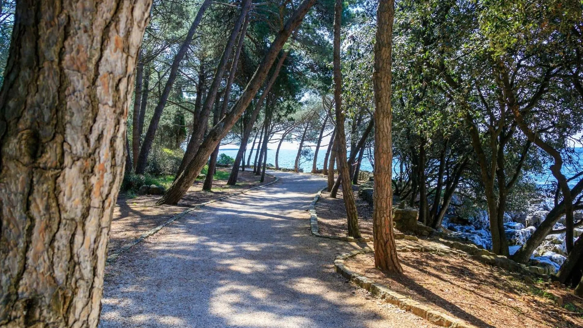 Apartment Beachfront Escape In Rovinj